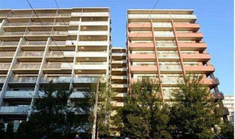 日本媒體人眼中的 2015年的日本 彰顯生命至上的價值取舍