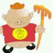 歪歪扭扭行走江湖的微博_微博