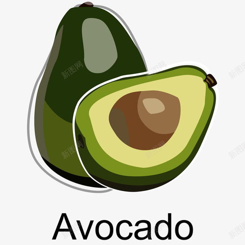 進口牛油果手繪插畫矢量圖高清素材 平面 設計圖片 頁面網頁 平面電商 創意素材 png素材 綠色食品素材