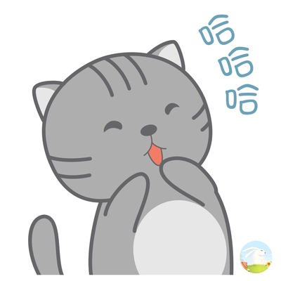 歪歪與不不 網(wǎng)絡(luò)時(shí)代的友誼故事